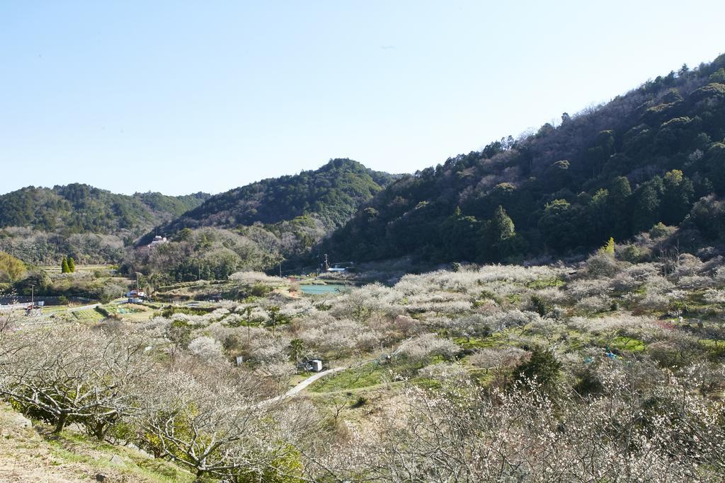 Hotel Myth M -ホテル マイス エム- Adult Only 泉南市 エクステリア 写真